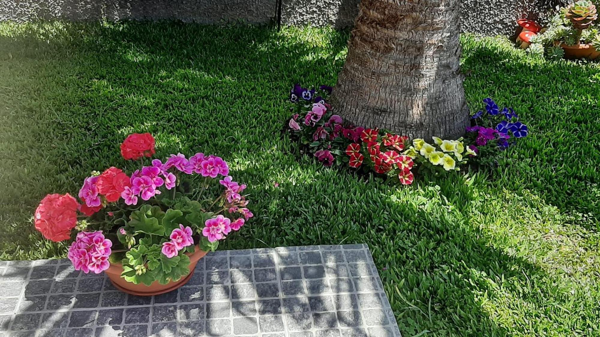 فيلا Casa Ventura أركو دا كالهيتا المظهر الخارجي الصورة